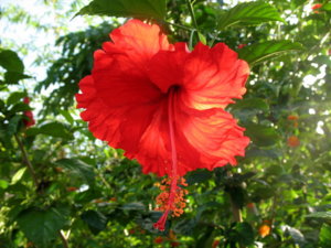 Picture 2011-06 (81)_small.jpg