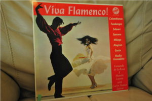 Flamenco 002.JPG resize.jpg