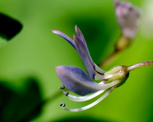 00A_7734.jpg