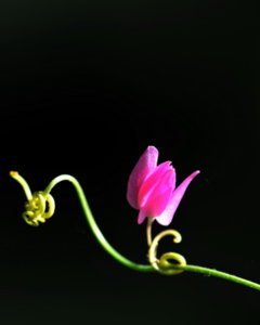 00A_7704.jpg