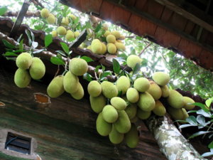 Picture 663_small.jpg