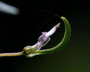 00A_7975.jpg