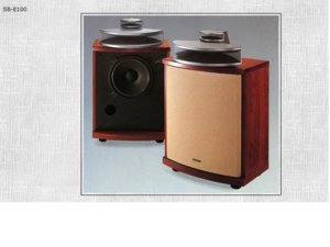 Technics SB-E100.jpg