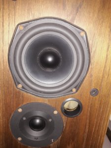 20190704_103518.jpg