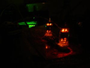 DSC00259.JPG
