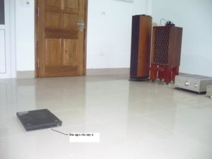 P2.JPG