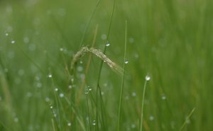 IMG_2755.JPG