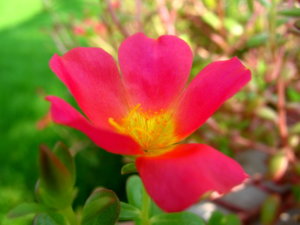 Picture 042_small.jpg