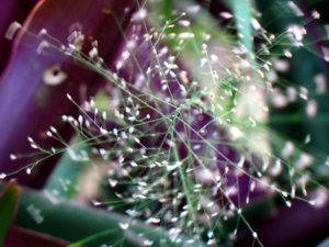 Picture 372_small.jpg