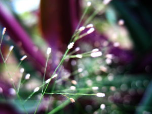 Picture 371_small.jpg