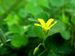Picture 090_small.jpg