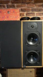 IMG_20200209_152505.jpg