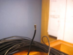 IMG_0510.JPG