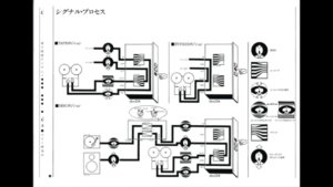 2E813B6A-5C5F-49ED-90AB-55C2416AB930.jpeg