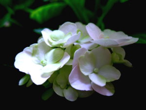 Picture 112_small.jpg