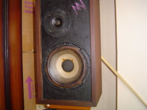 DSC00117.jpg
