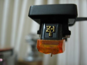 IMG_6327.jpg