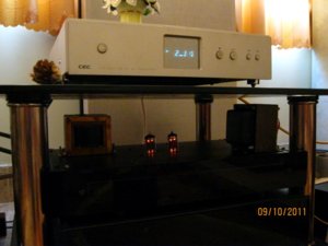 5687 tube Dac in buring time.JPG