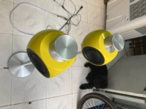 9872DADC-B454-4B1F-A2E7-5507BC7F5D59.jpeg