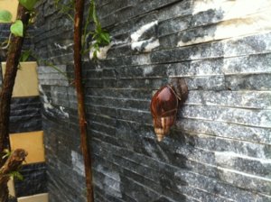 IMG_0466.jpg