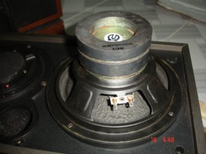 DSC01306.JPG