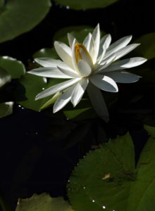 DSC01211-1.JPG
