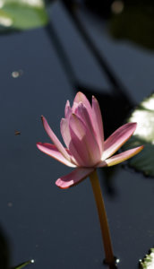 DSC01221-1.JPG