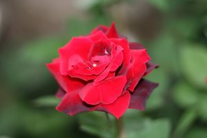IMG_3431.jpg