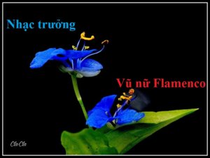 AAA_3450f.jpg