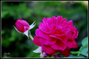 AA0_4052.jpg