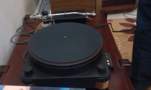IMAG0524.jpg