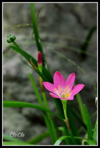 AA0_4184.jpg
