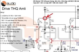 VAS-THQ-Amli-Quanghao.jpg