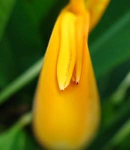 Picture 366_small.jpg