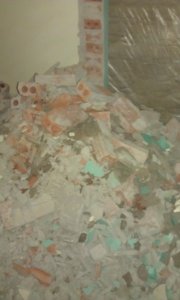IMAG0555.jpg