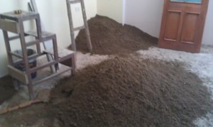 IMAG0565.jpg