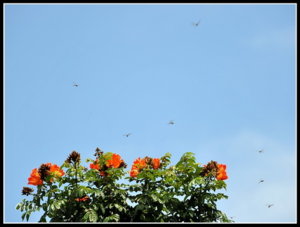 AA0_5149.jpg