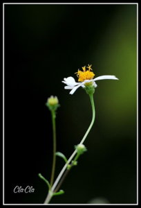 AA0_5590.jpg