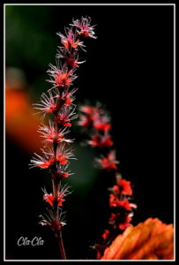 AA0_5778.jpg