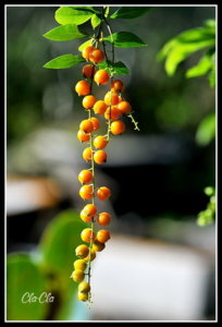 AA0_5758.jpg