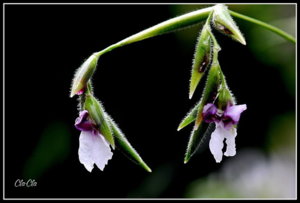 AA0_6203.jpg