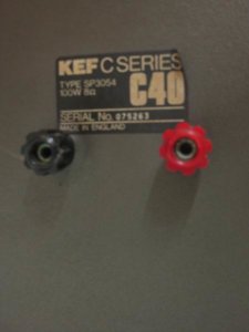 KefC40-004.jpg