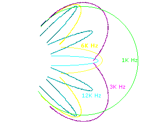 a07_radialhorn.gif