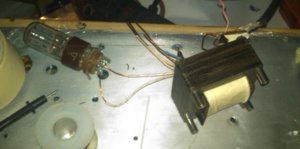 IMG-20111110-00059.jpg