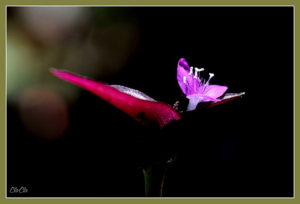 AA0_7229.jpg