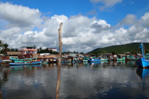 P1012185.jpg