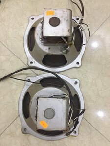 B6439160-D6FD-4C5D-ACD0-994C67949197.jpeg