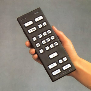 beolab8000remote.jpg