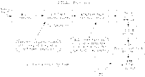 mj_fig1-a.gif