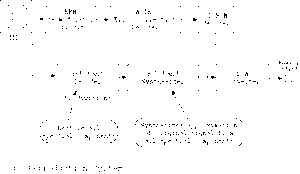 mj_fig1-b.gif